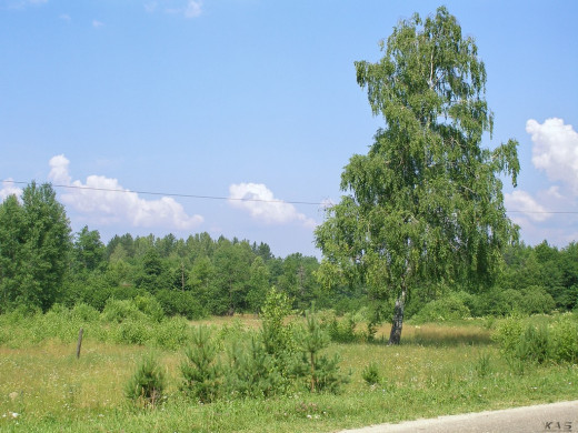 25361 (a): :1024x768